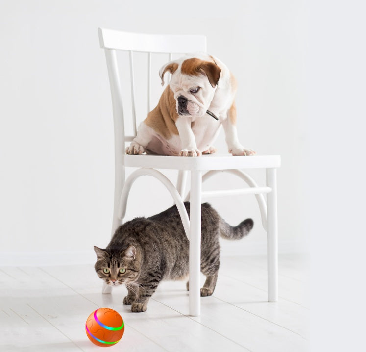 Automatic Cat Wicked Ball Toy