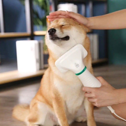 Pet Hair Dryer Brush for Dogs & Cats