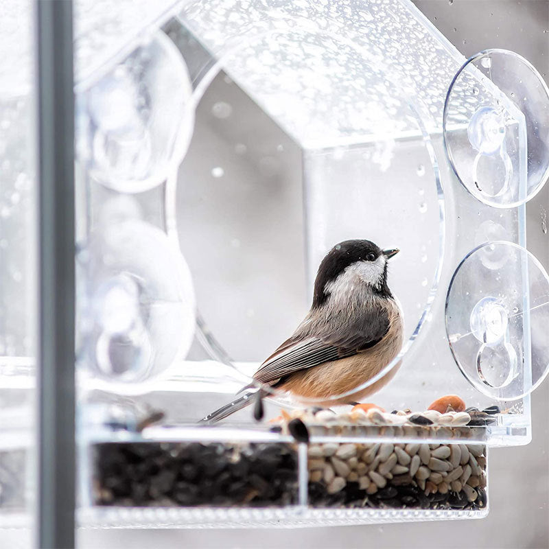 Smart Bird Feeder with Camera for Window Mounting