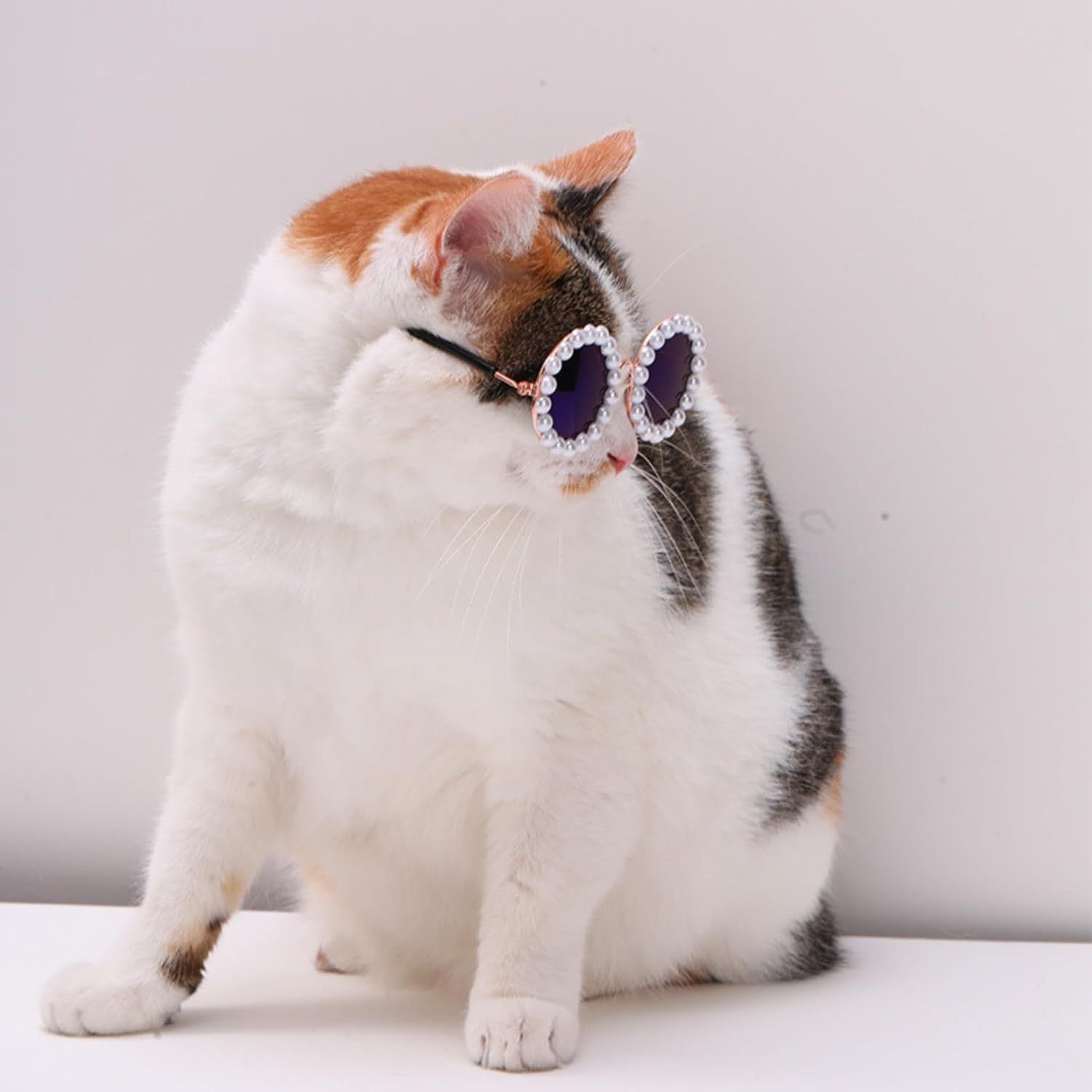 Pearl Sunglasses for Pets