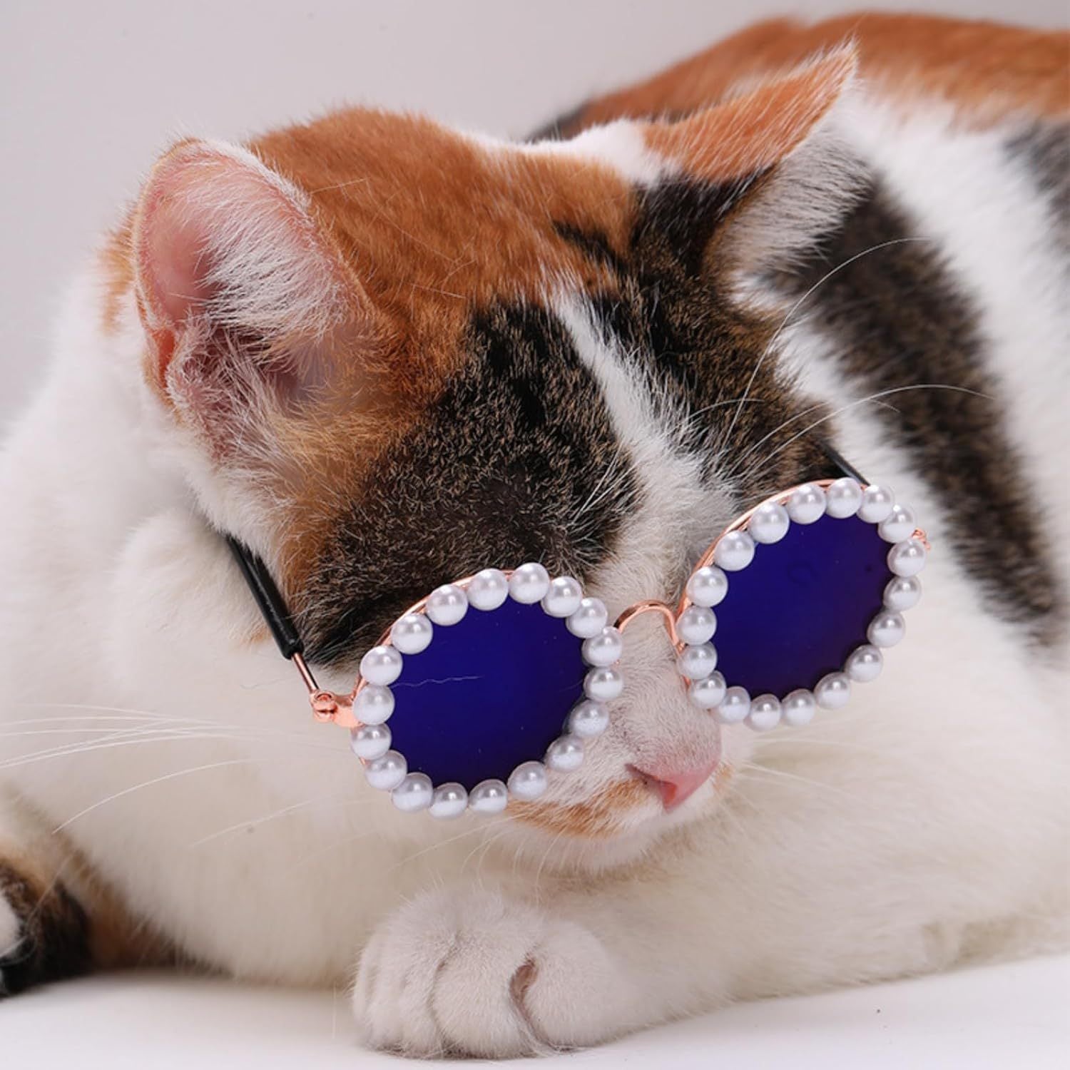 Pearl Sunglasses for Pets