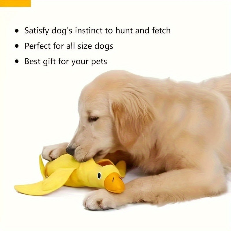 Teddy Toy With Dog Sound Duck