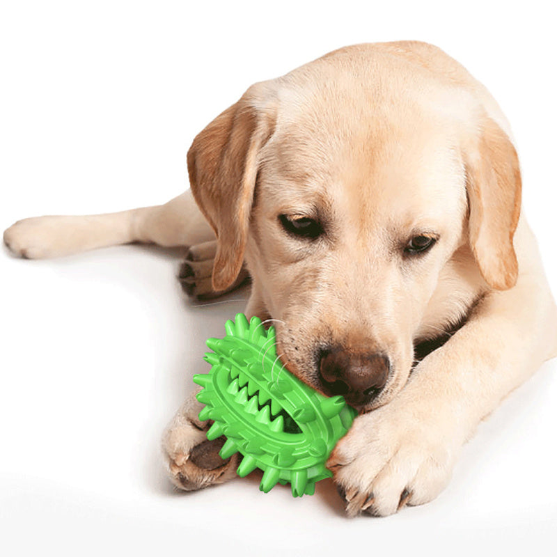 Durable Dog Toothbrush Toy for Aggressive Chewers