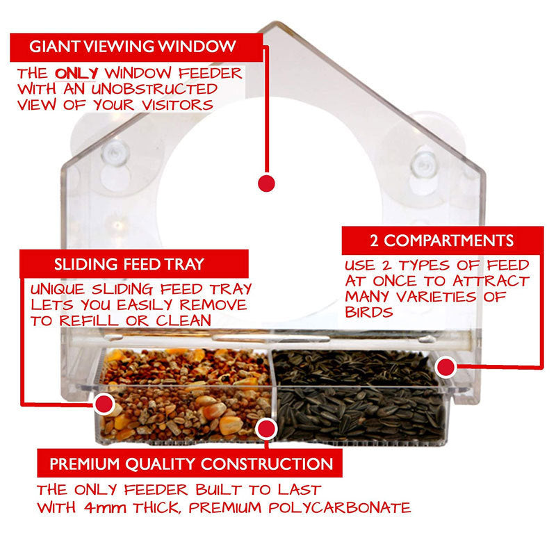 Smart Bird Feeder with Camera for Window Mounting