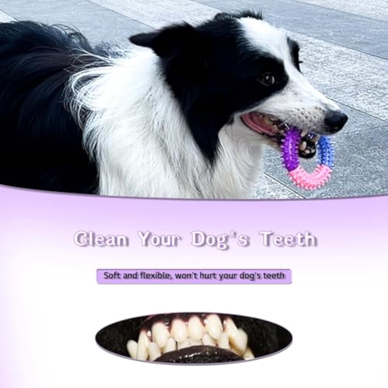 Dog Chew Toy Ring