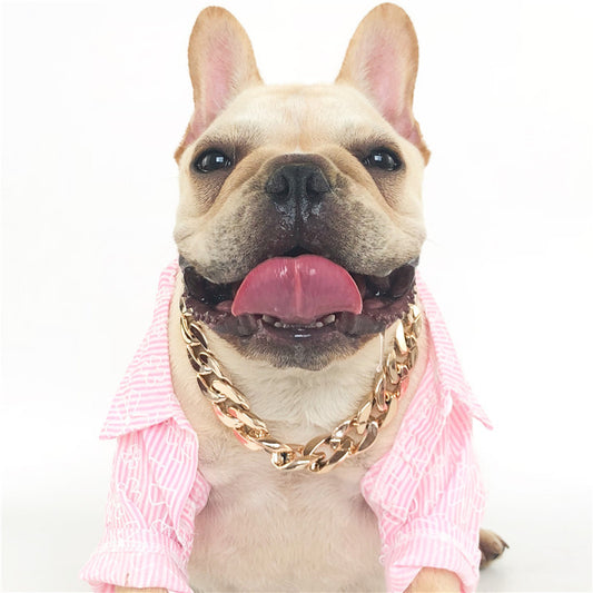 Gold Chain Dog Collar