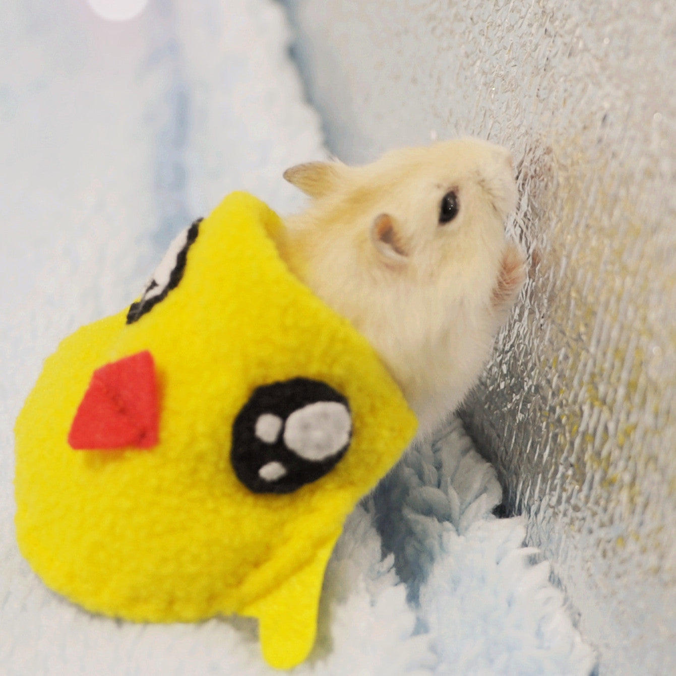 Pet hamster clothes