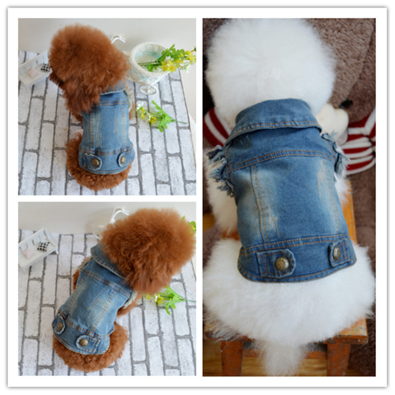 Shell Pet Dog Clothes