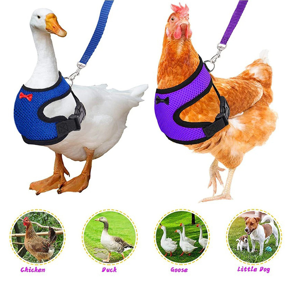 Poultry Pet Harness & Vest