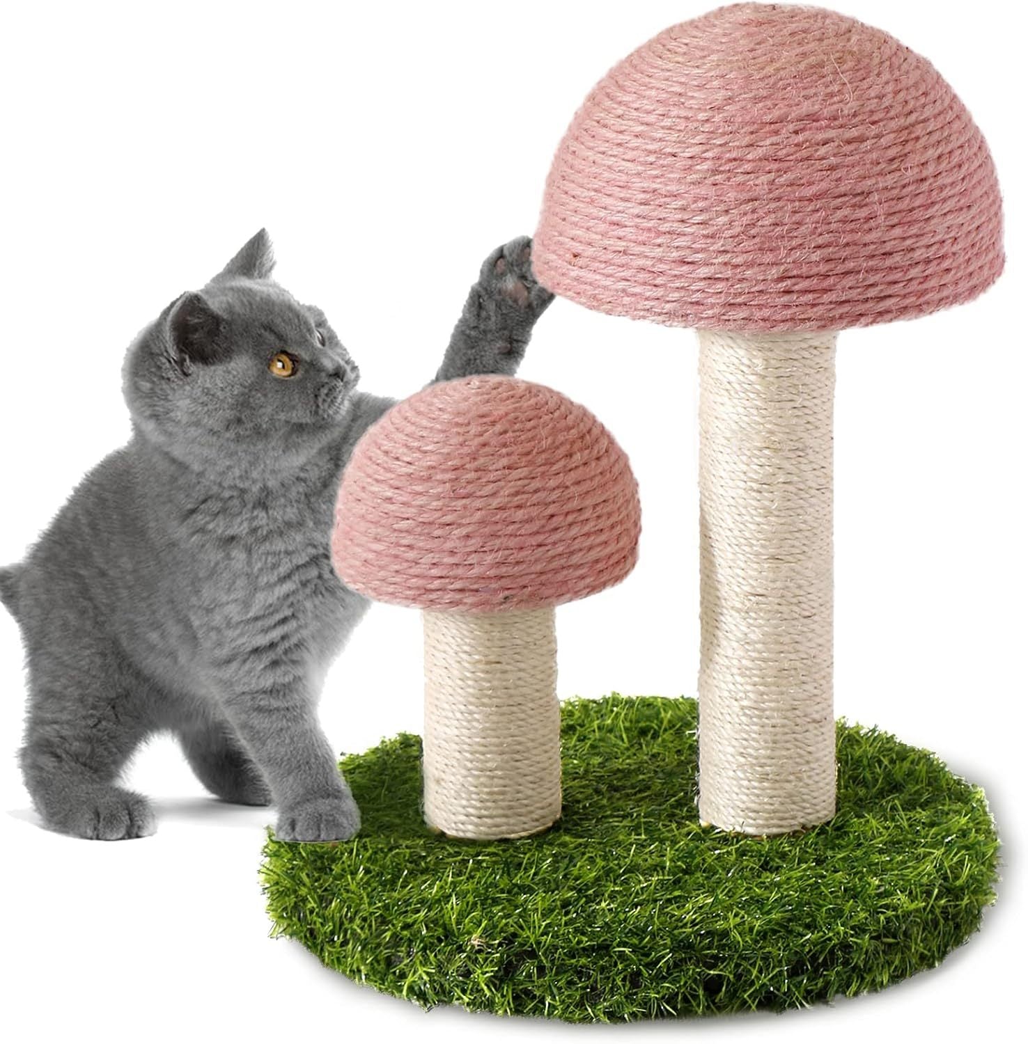 Cat Scratching Post Mushroom