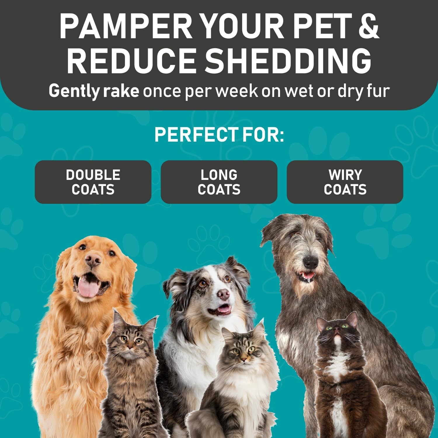 Double-Sided Pet Grooming Brush