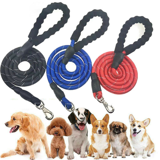 Reflective Elastic Dog Leash with Padded Handle