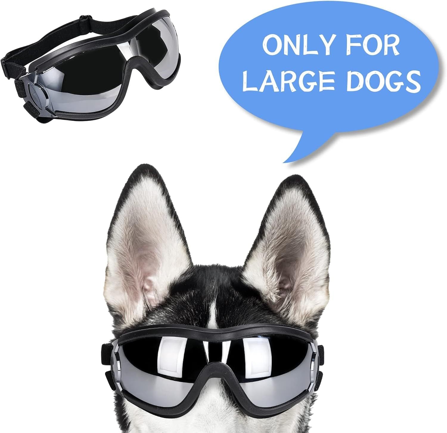 Dog Sunglasses