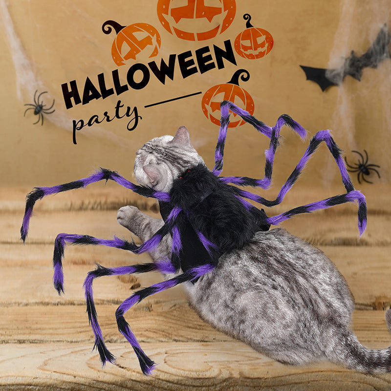 Halloween Spider Pet Costume