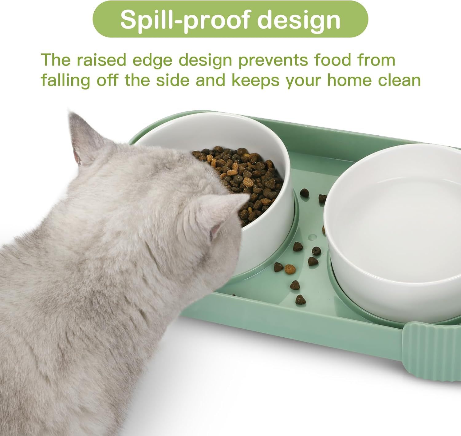 Ceramic Elevated Cat Bowls 15° Tilted Anti-Vomiting Set