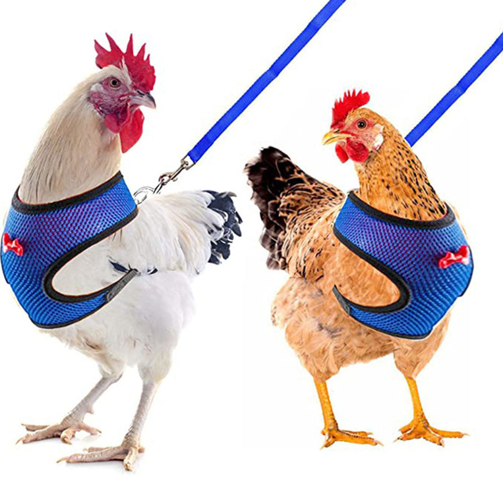 Poultry Pet Harness & Vest