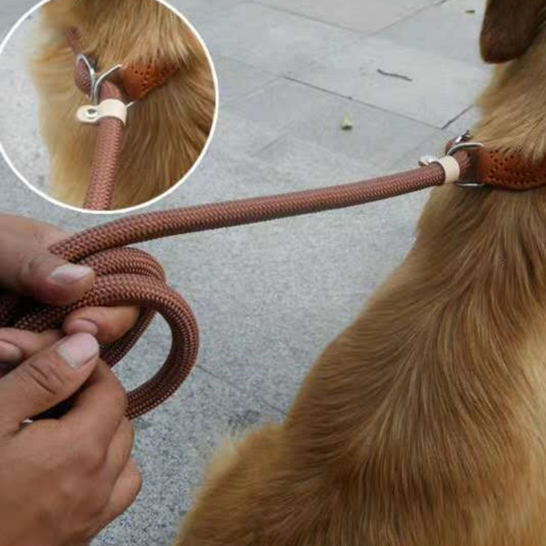 Nylon P Chain Dog Leash with Hand Holding Rope