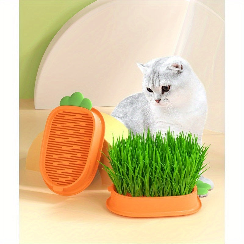 Carrot Design Cat Grass Kit with Planting Box and Seeds