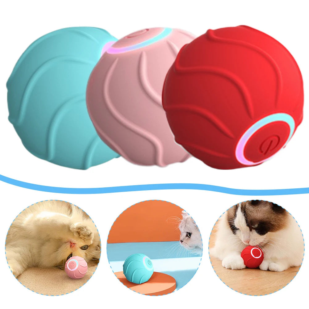 Smart Cat Rolling Ball