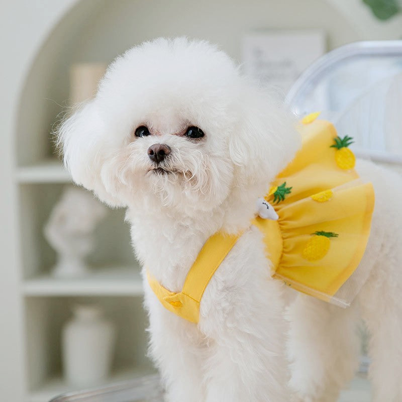 Luxury Summer Dog Dress for Small Dogs