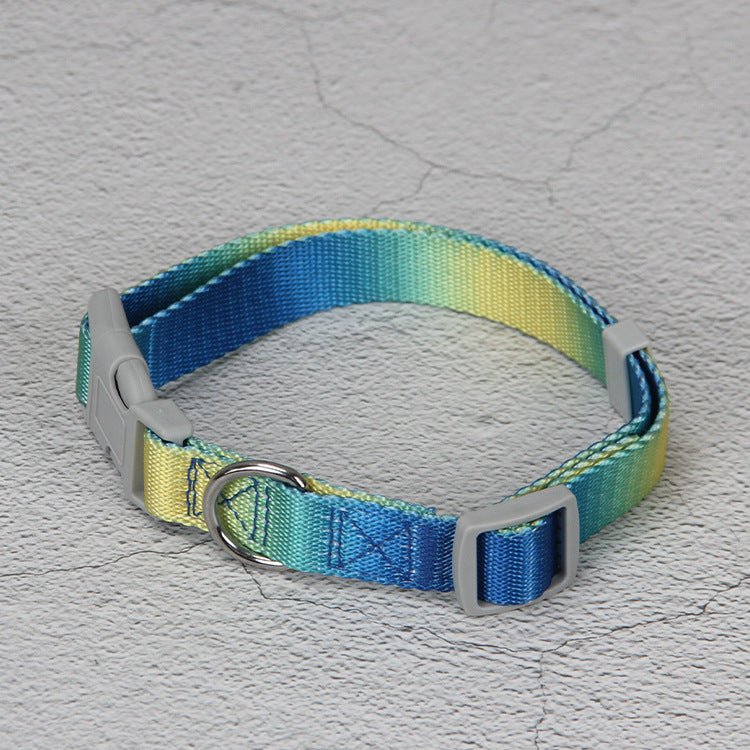 Gradient Color Pet Leash Set