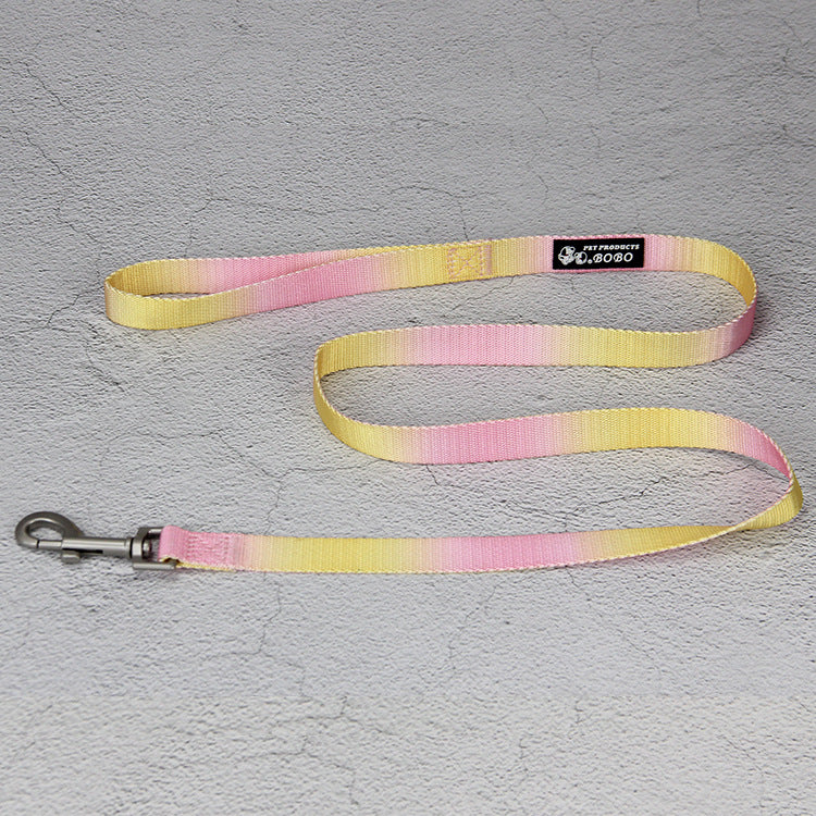 Gradient Color Pet Leash Set