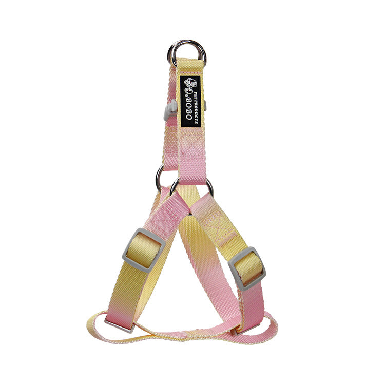 Gradient Color Pet Leash Set