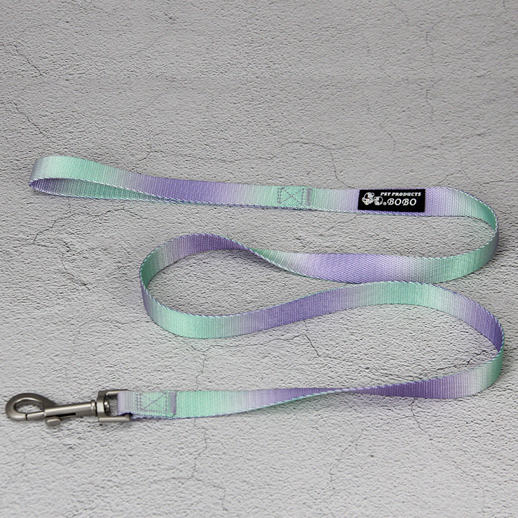 Gradient Color Pet Leash Set