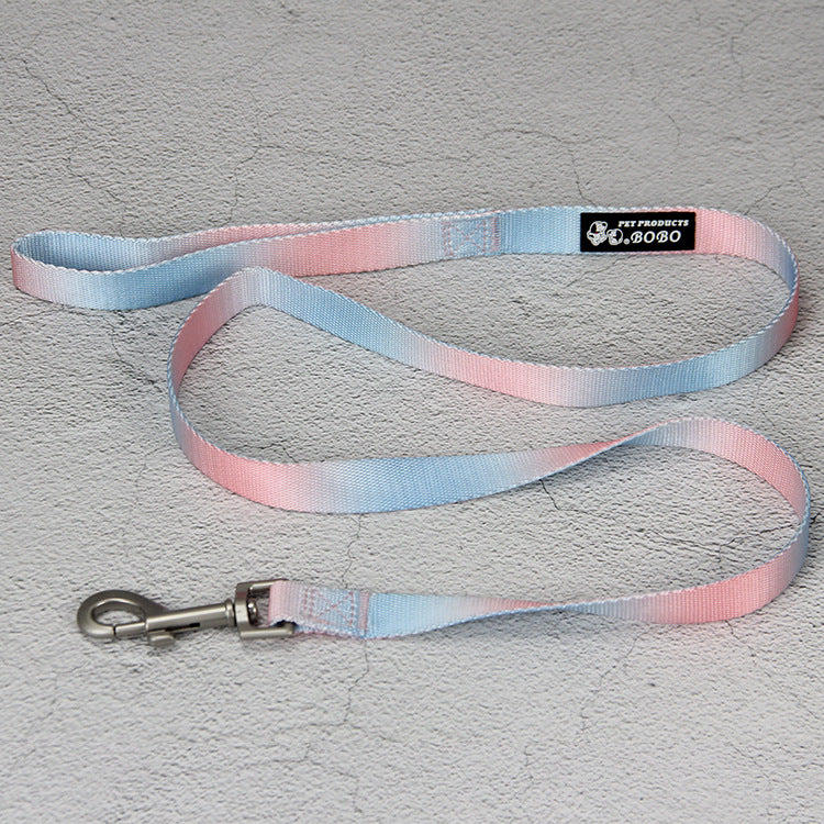 Gradient Color Pet Leash Set