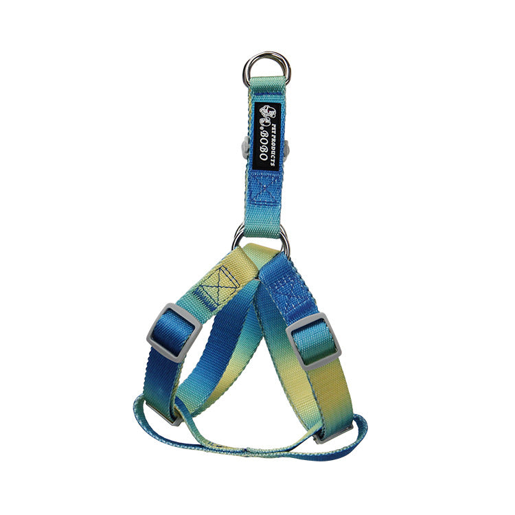 Gradient Color Pet Leash Set