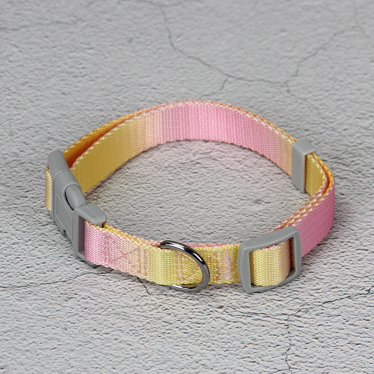 Gradient Color Pet Leash Set