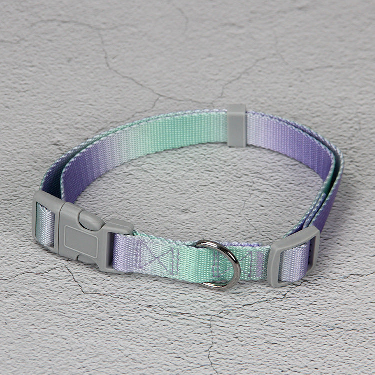 Gradient Color Pet Leash Set