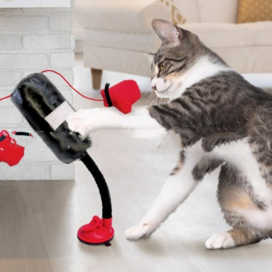 Cat Boxing Game Teaser Toy