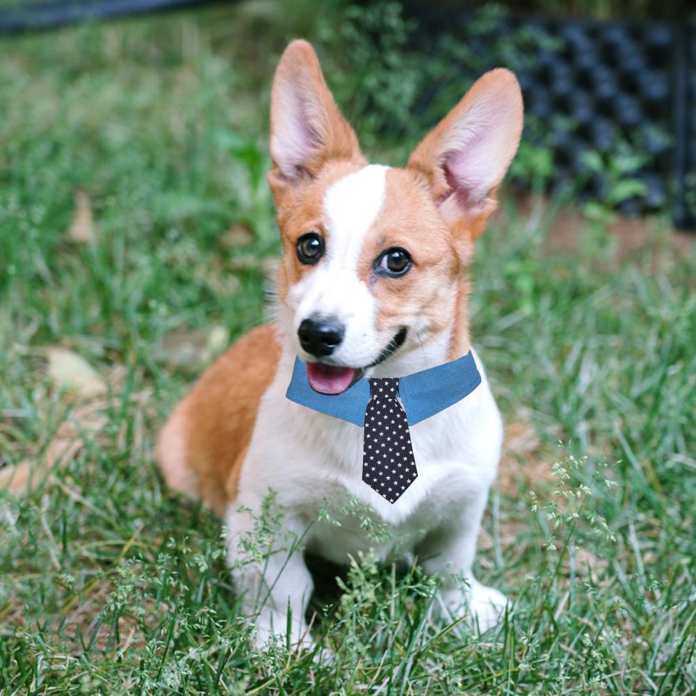 Formal Dog Necktie