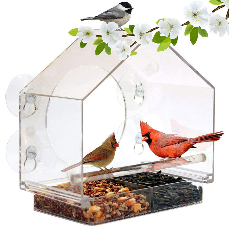 Smart Bird Feeder with Camera for Window Mounting