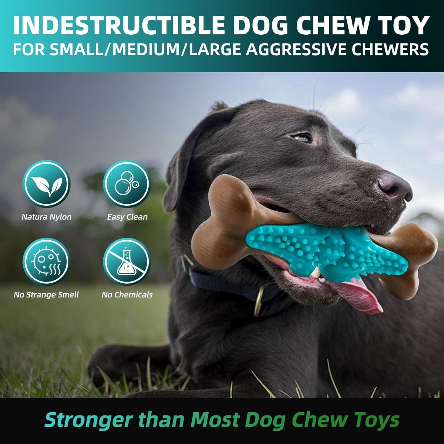 Durable Dog Chew Toy for Aggressive Chewers