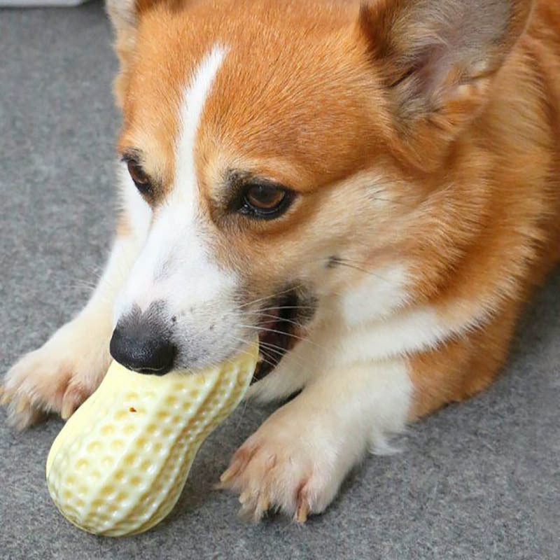 Rubber Tooth Cleaning Toy