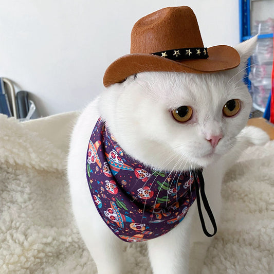 British Style Cowboy Cat Hat