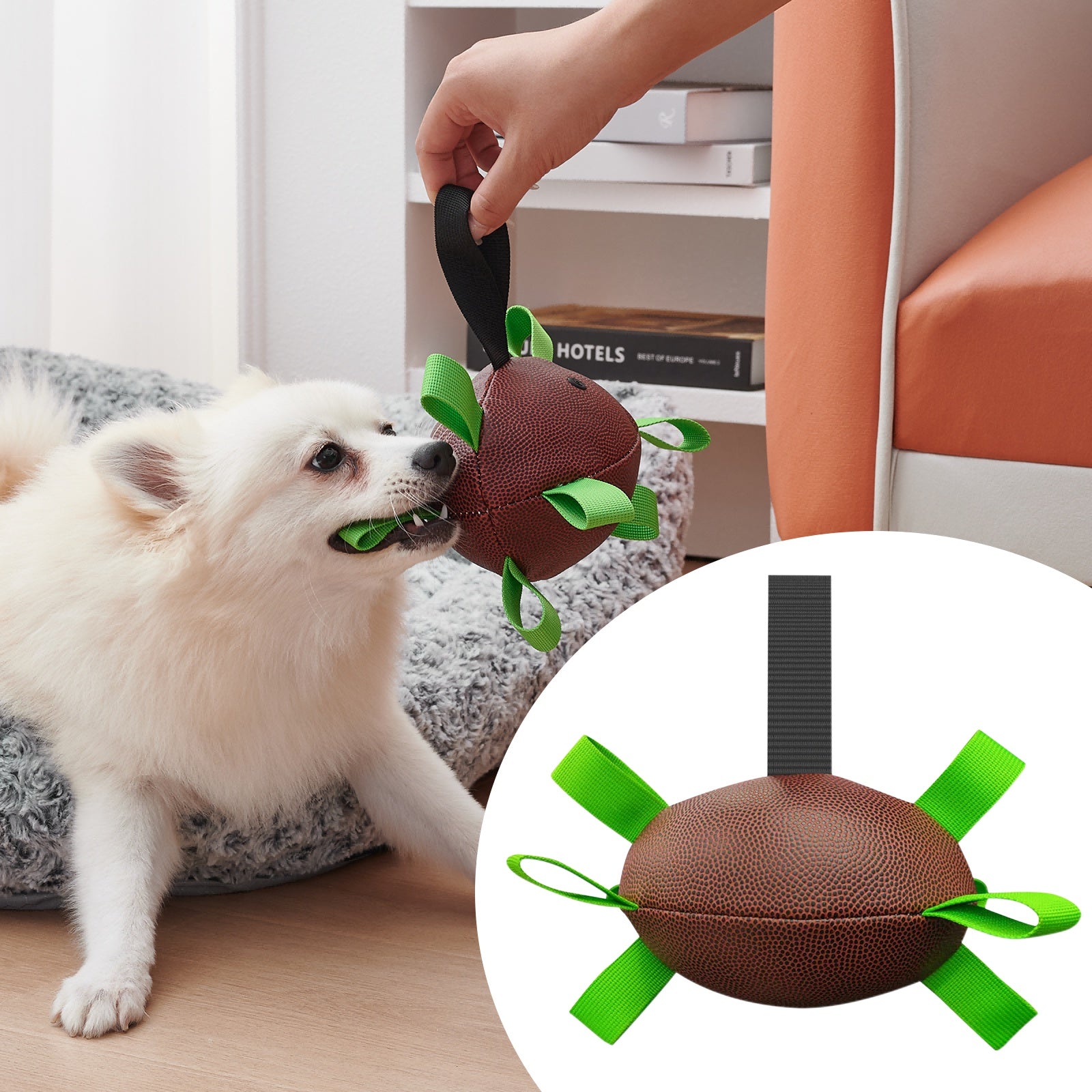 Interactive Dog Rugby Ball with Straps