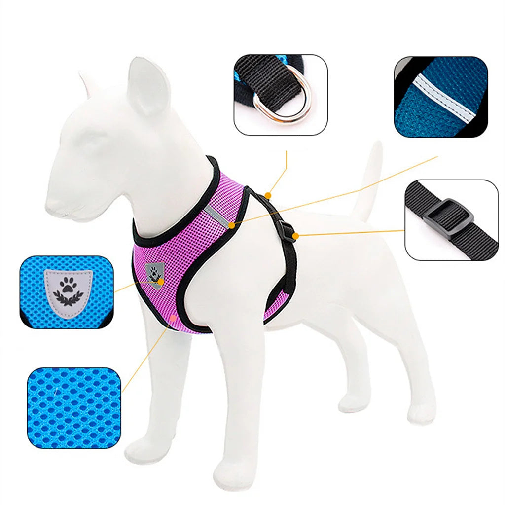 Reflective Harness with Leash for Dogs and Cats