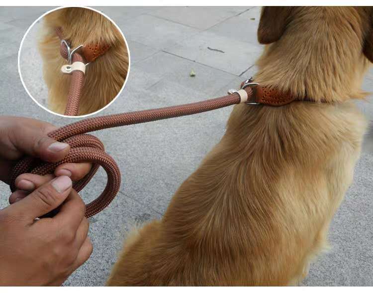 Nylon P Chain Dog Leash with Hand Holding Rope