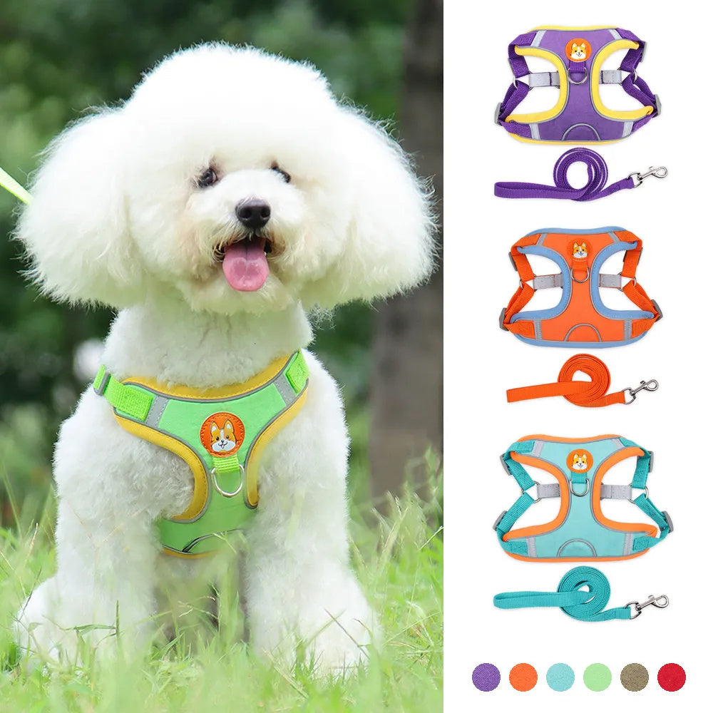 Reflective No-Pull Dog Harness and Leash Set