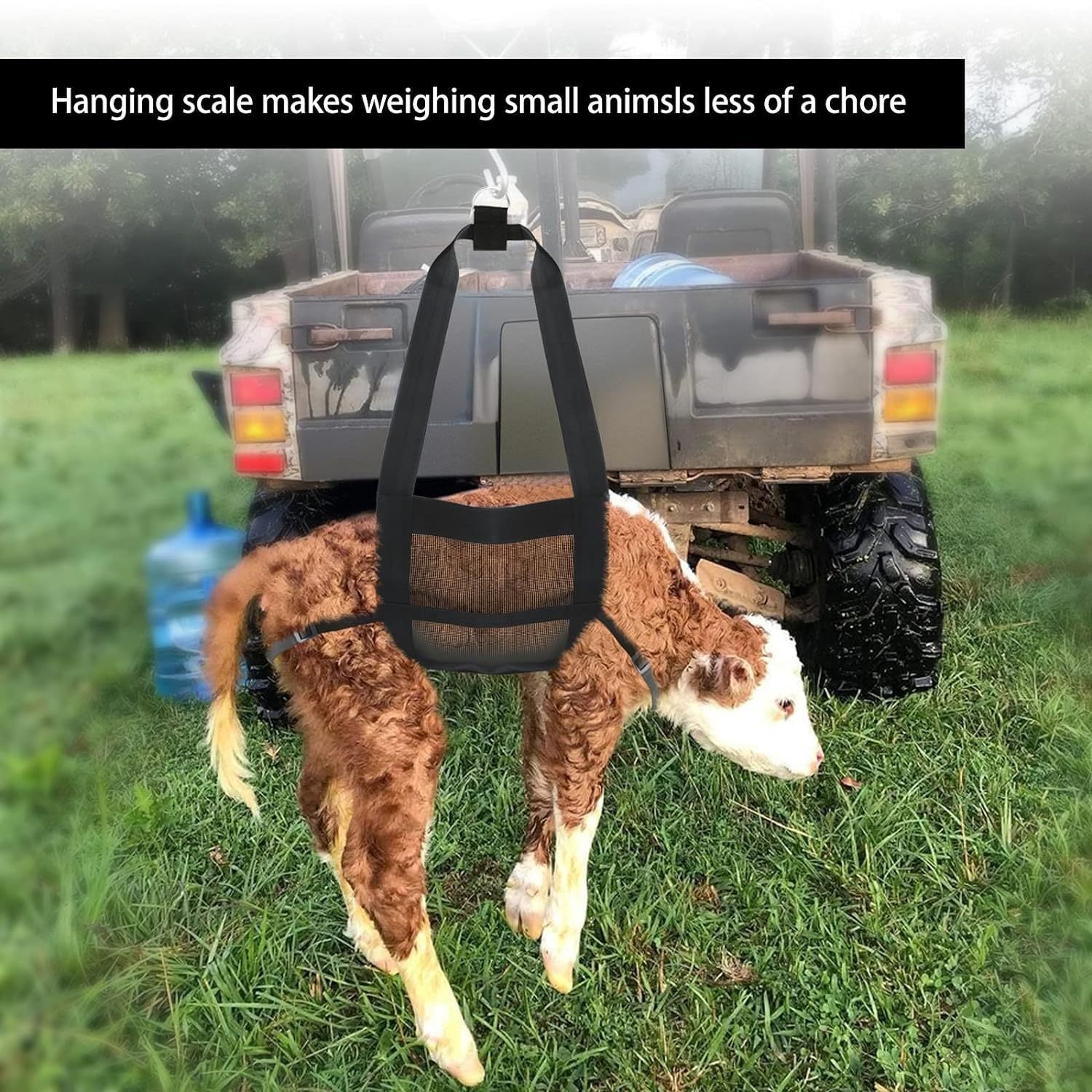 Large Dog & Livestock Weighing Sling