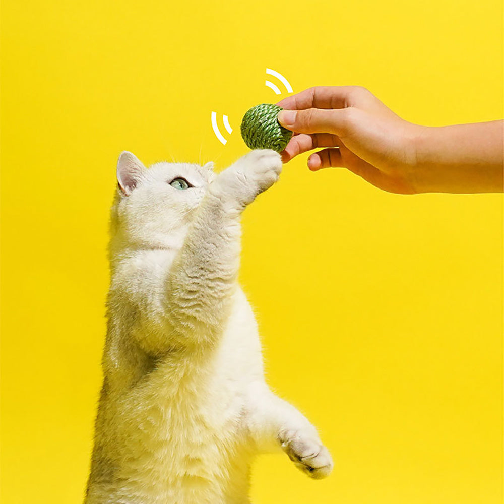 Cat Toy Balls