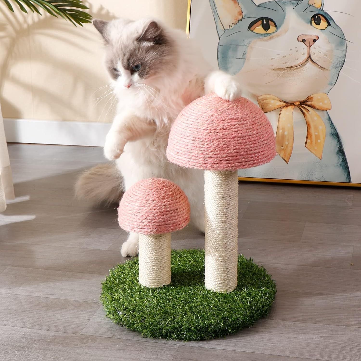 Cat Scratching Post Mushroom