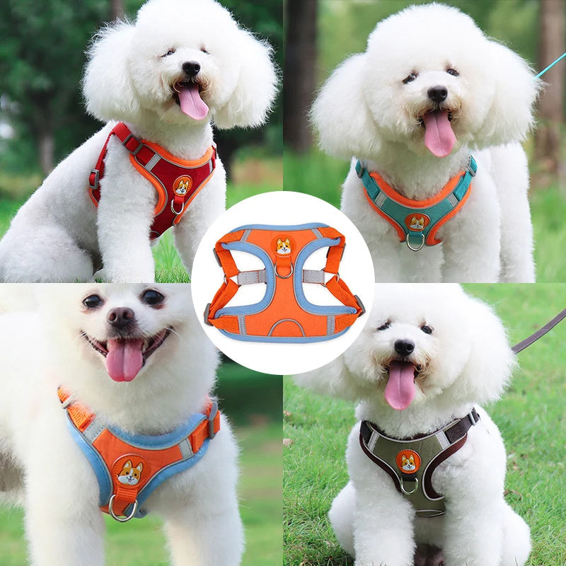 Reflective No-Pull Dog Harness and Leash Set