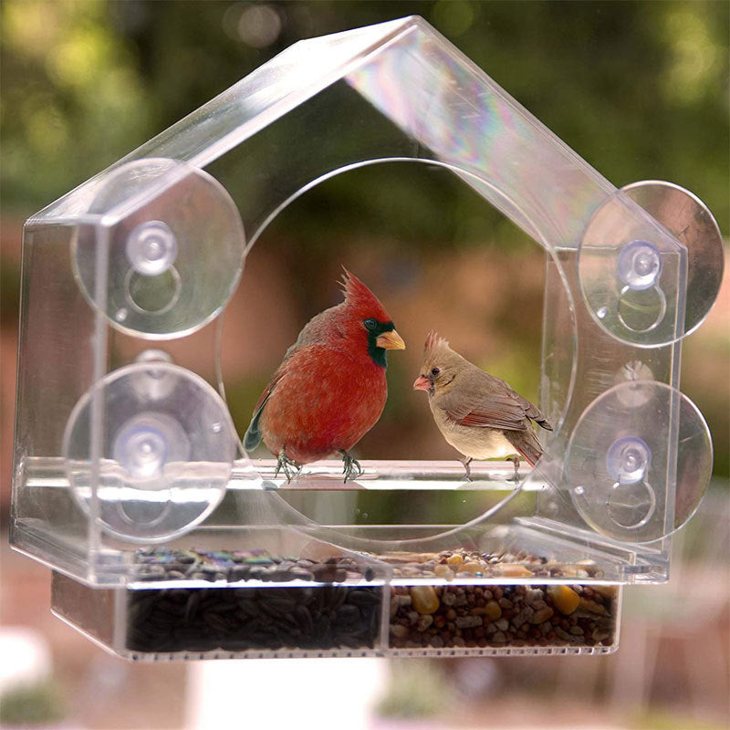 Smart Bird Feeder with Camera for Window Mounting