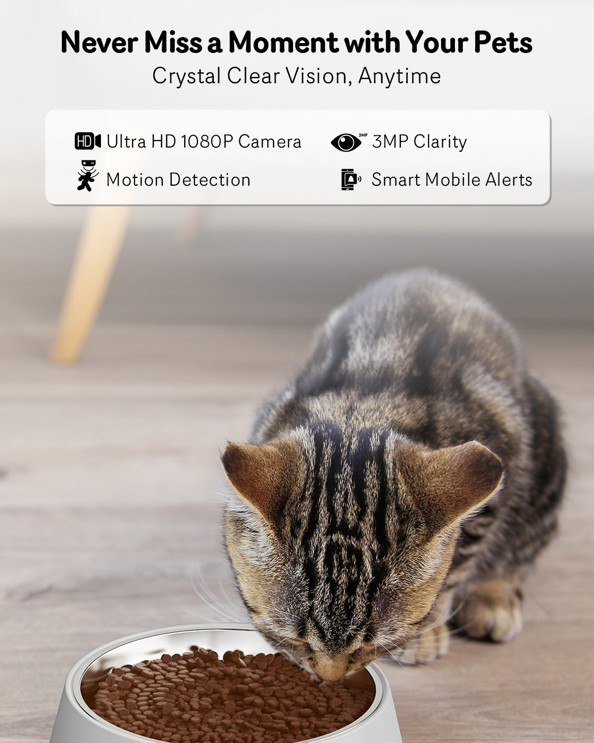 Automatic Cat Feeder