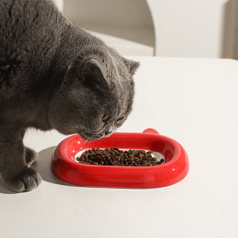 Ceramic Cat & Dog Food Bowl