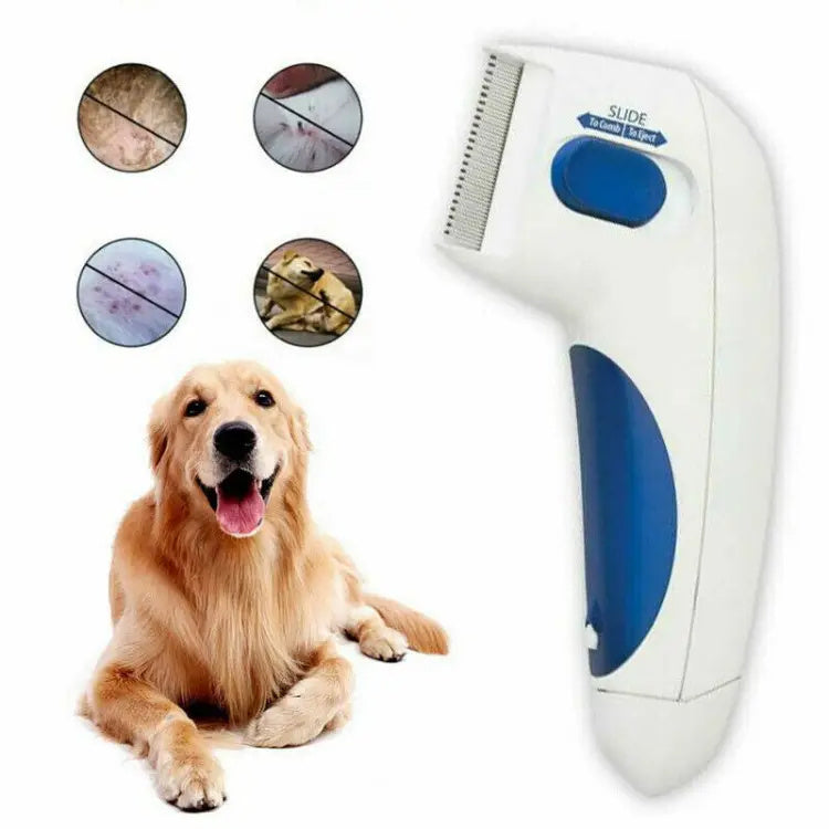 Anti-Lice Cleaner for Dogs and Cats